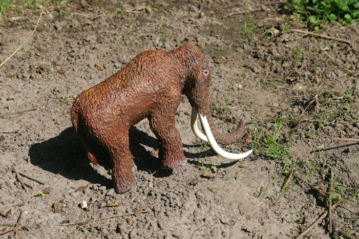 Billede af en mammut